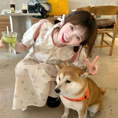 大熊猫 在线观看